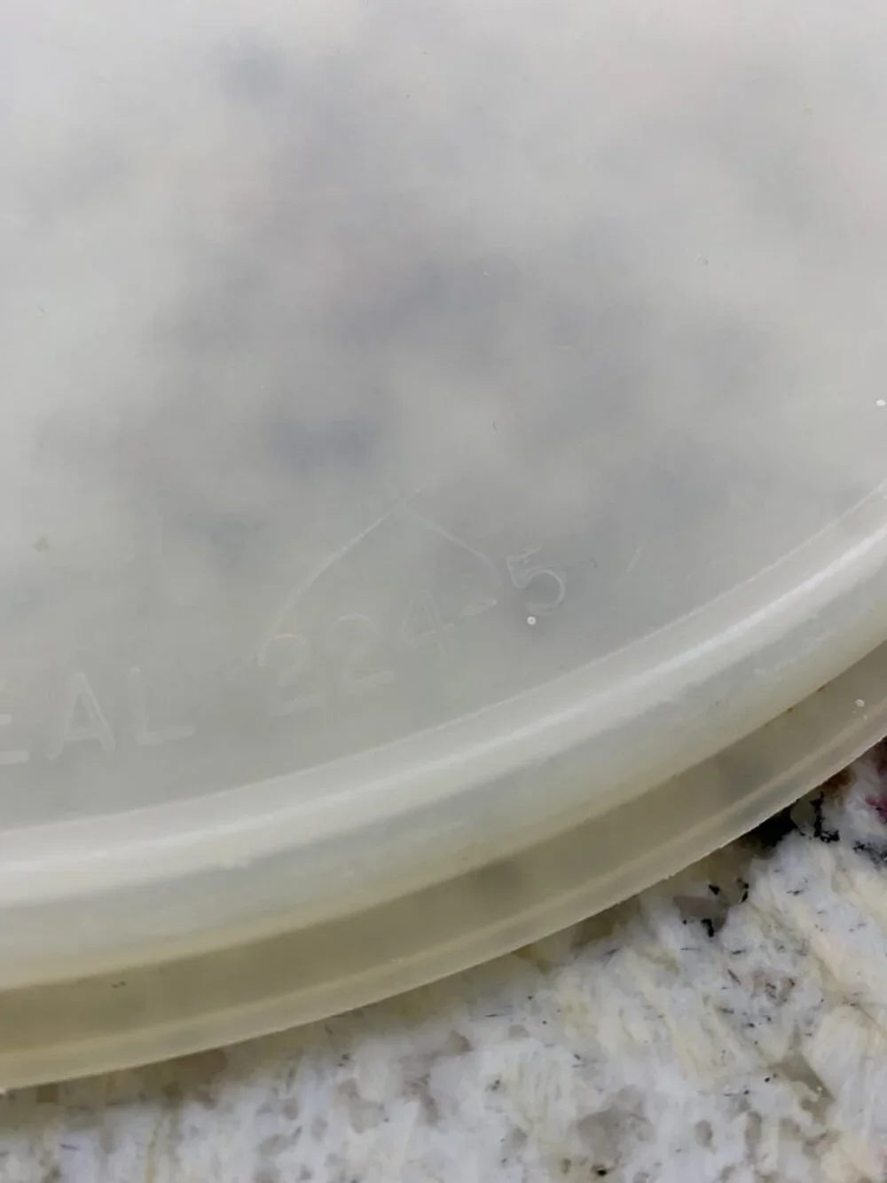 Tupperware 12